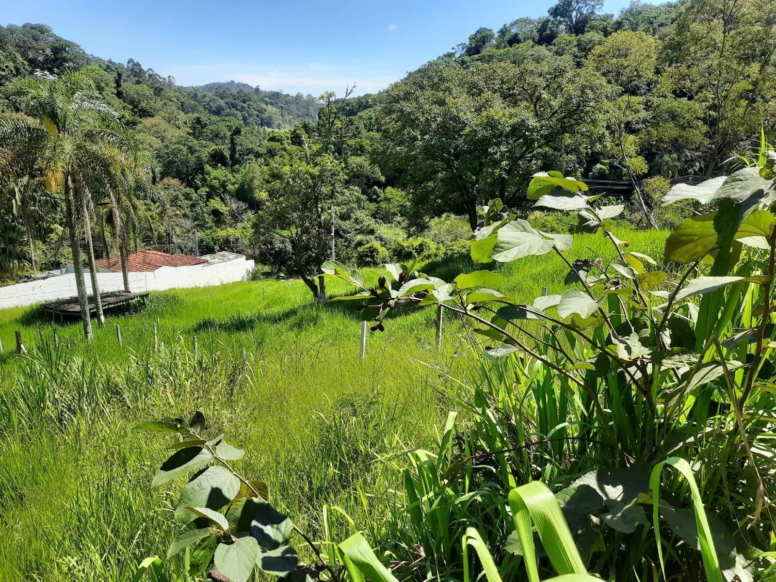 #1281 - Terreno para Venda em Atibaia - SP