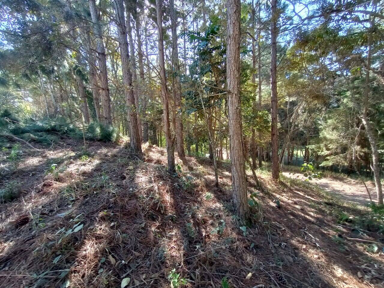 #1890 - Terreno para Venda em Atibaia - SP