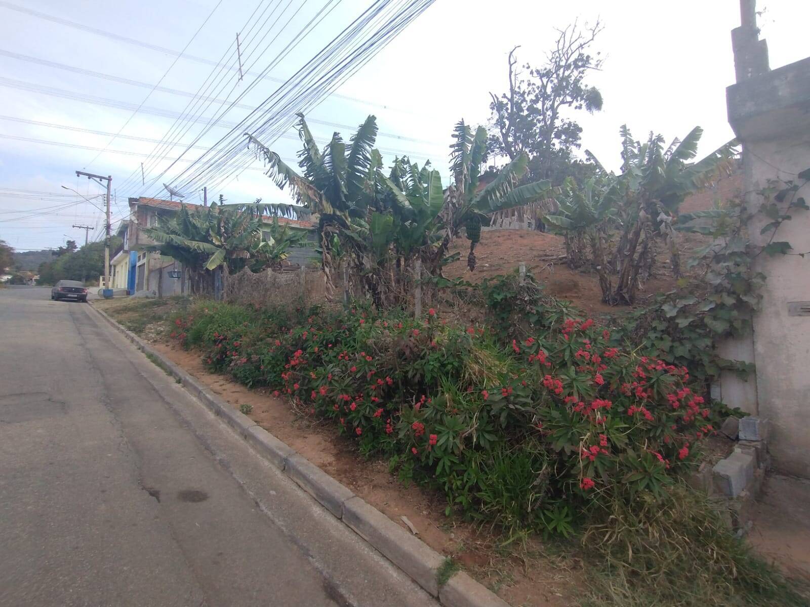 #1917 - Área para Venda em Mairiporã - SP