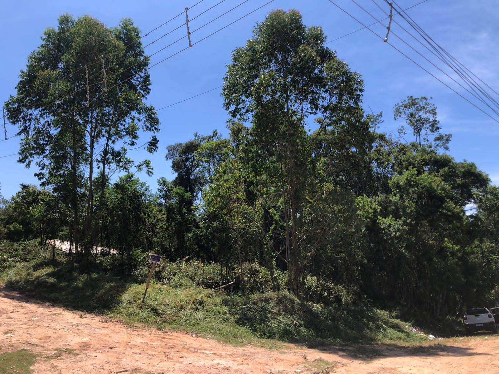 #2434 - Área para Venda em Mairiporã - SP