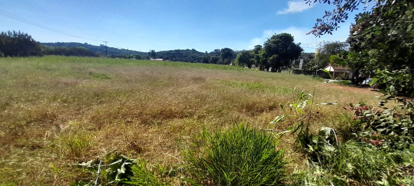 #2551 - Área Industrial e Comercial para Venda em Jarinu - SP