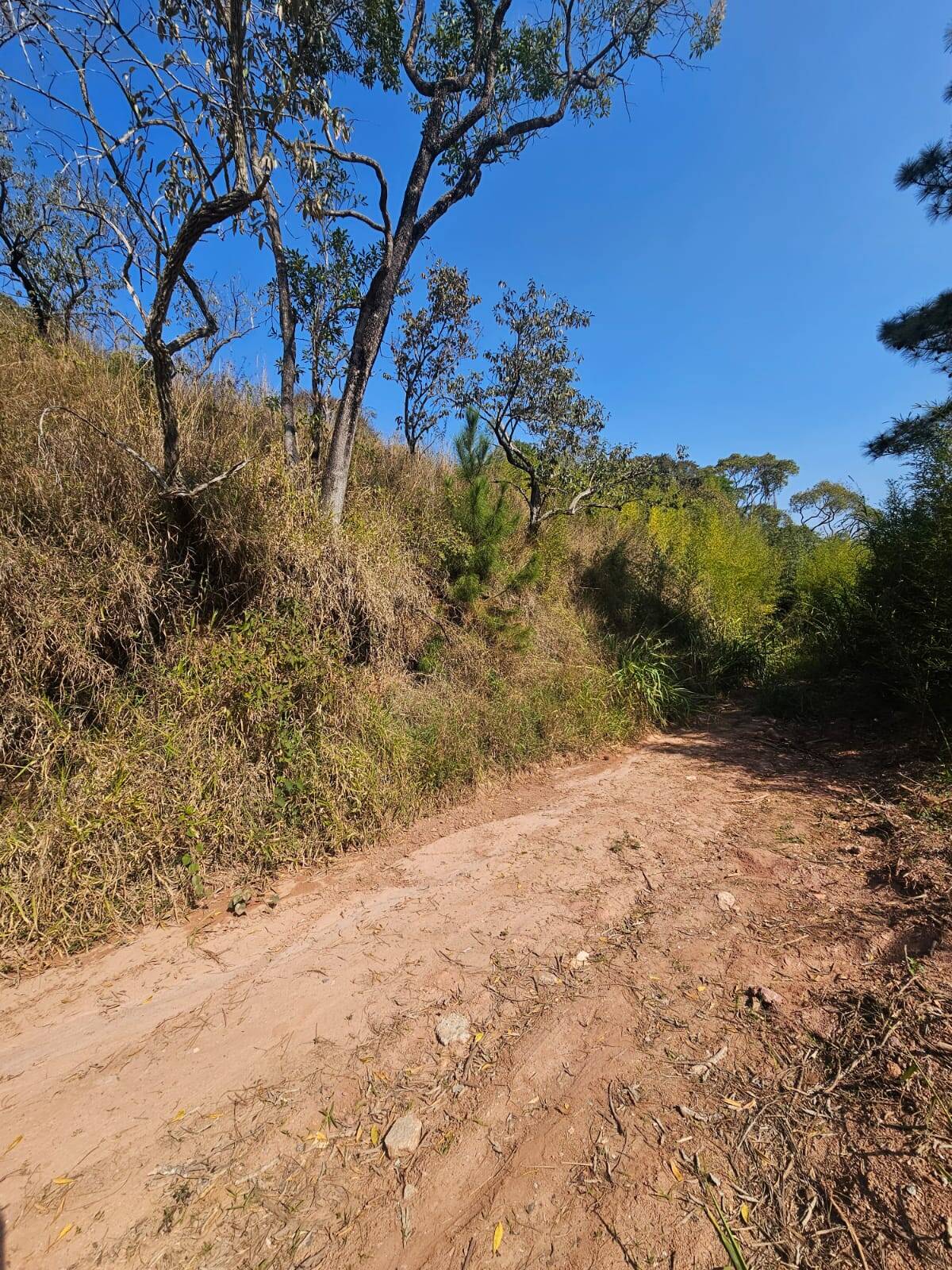#2633 - Terreno para Venda em Mairiporã - SP