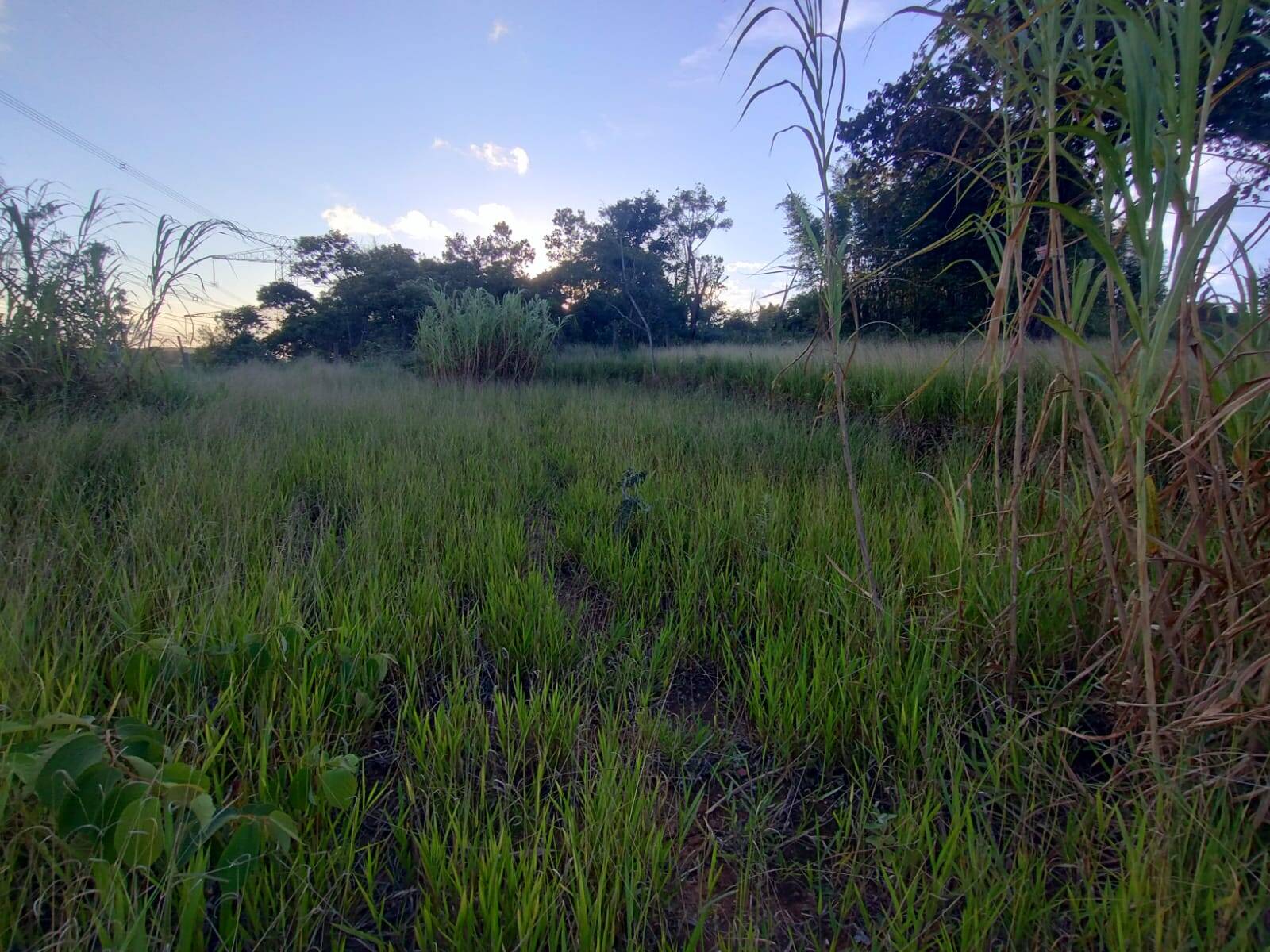#2712 - Área para Venda em Mairiporã - SP