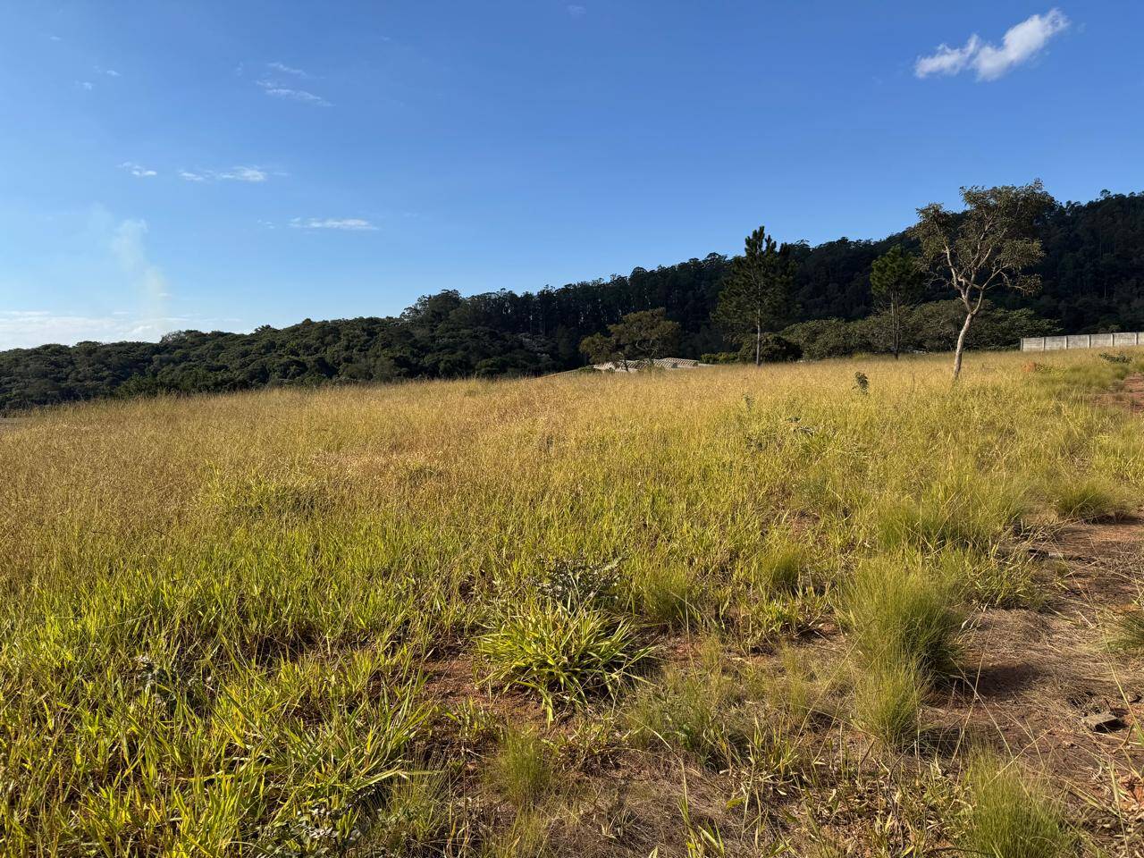#2750 - Área para Venda em Atibaia - SP