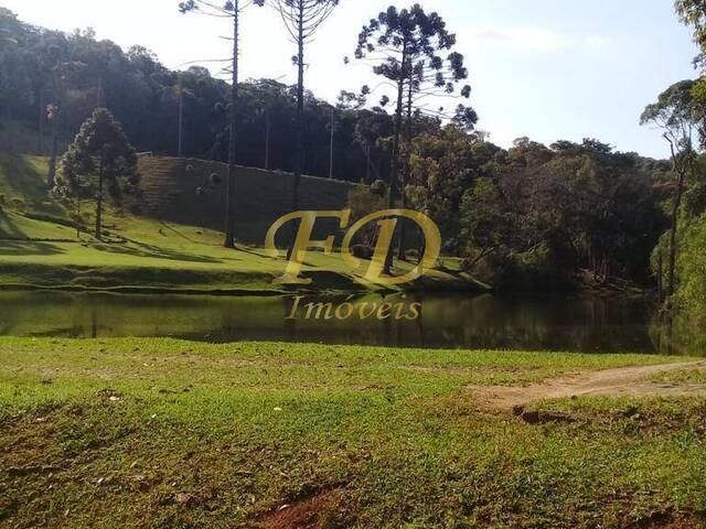 Sítio para Venda em Atibaia - 5