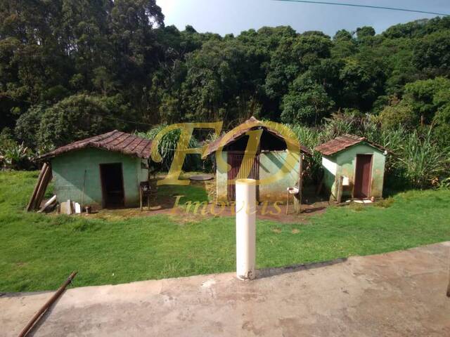 Sítio para Venda em Itapeva - 2