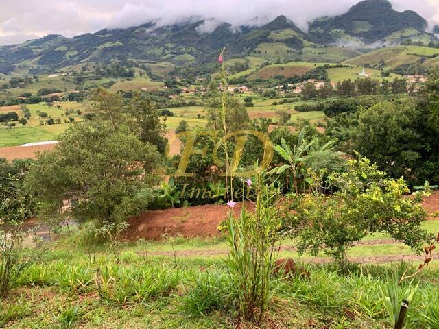 Sítio para Venda em São Lourenço - 4