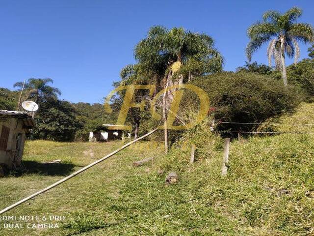 #2722 - Sítio para Venda em São Paulo - SP - 3