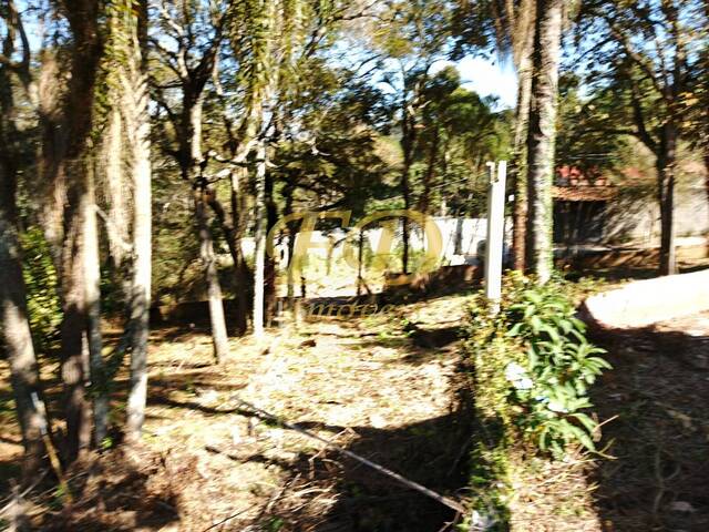 Venda em Mato Dentro - Mairiporã