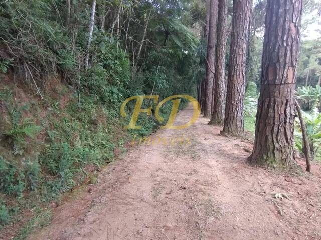 #2814 - Área para Venda em São Paulo - SP - 3
