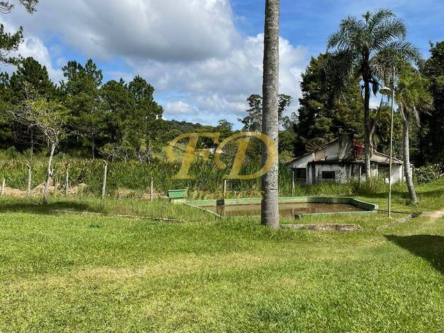 Sítio para Venda em Mairiporã - 3