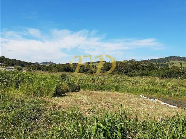 #663 - Sítio para Venda em Atibaia - SP - 1