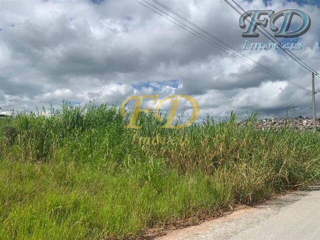 Terreno para Venda em Mairiporã - 3
