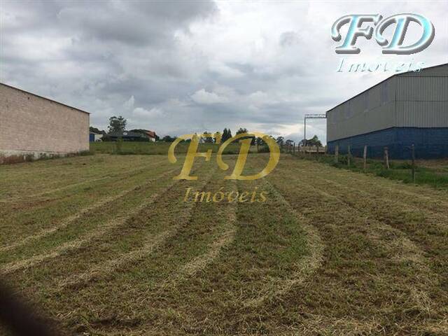 Terreno para Venda em Bragança Paulista - 2
