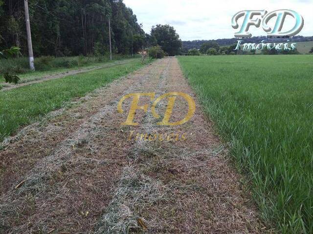 Terreno para Venda em Bragança Paulista - 2