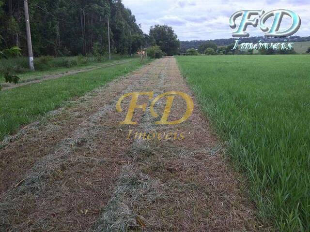 Terreno para Venda em Bragança Paulista - 3