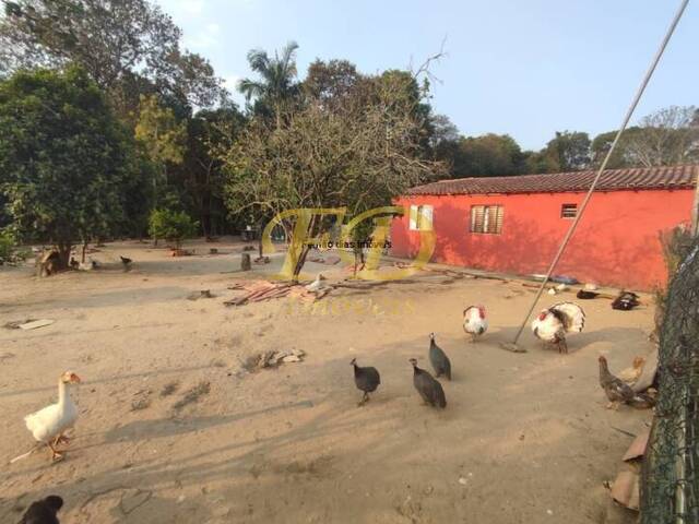 Chácara para Venda em Mairiporã - 4