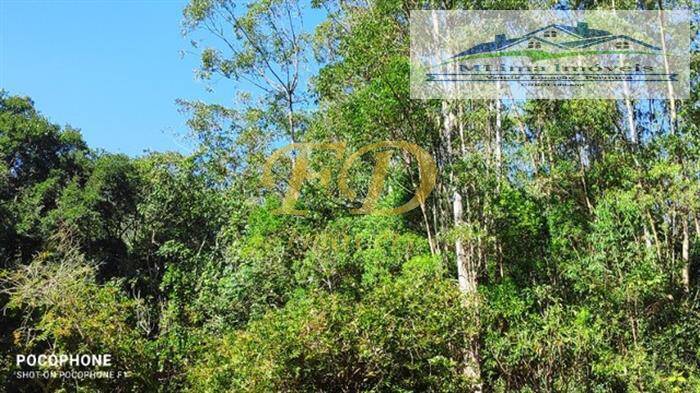 Sítio à venda com 4 quartos, 470m² - Foto 23