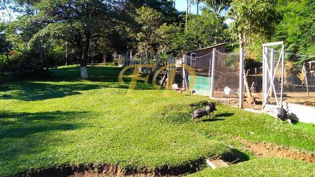 Sítio à venda com 4 quartos, 15600m² - Foto 8