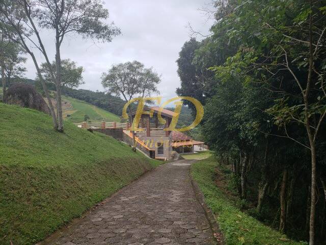 Sítio à venda com 10 quartos, 528000m² - Foto 9
