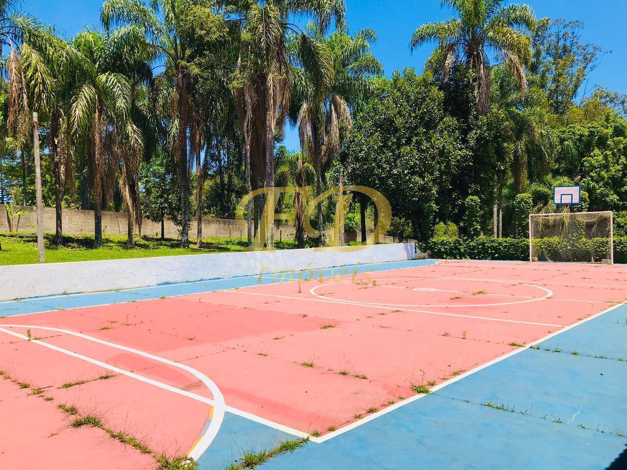 Sítio à venda com 4 quartos, 1500m² - Foto 55