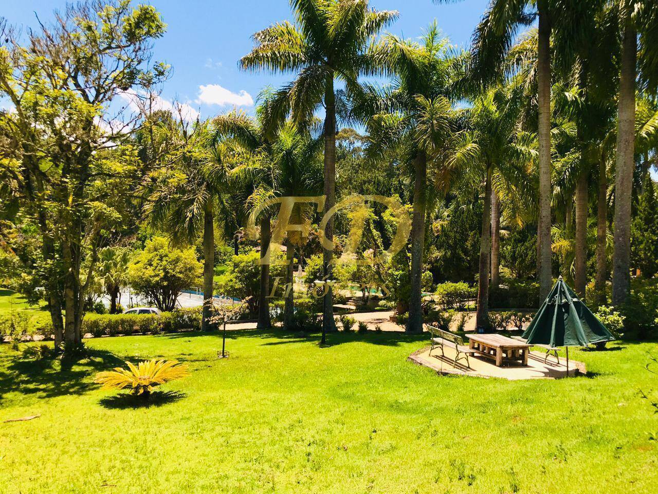 Sítio à venda com 4 quartos, 1500m² - Foto 81