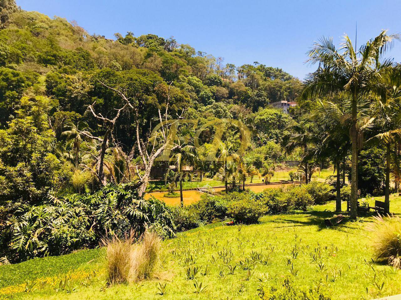 Sítio à venda com 4 quartos, 1500m² - Foto 79