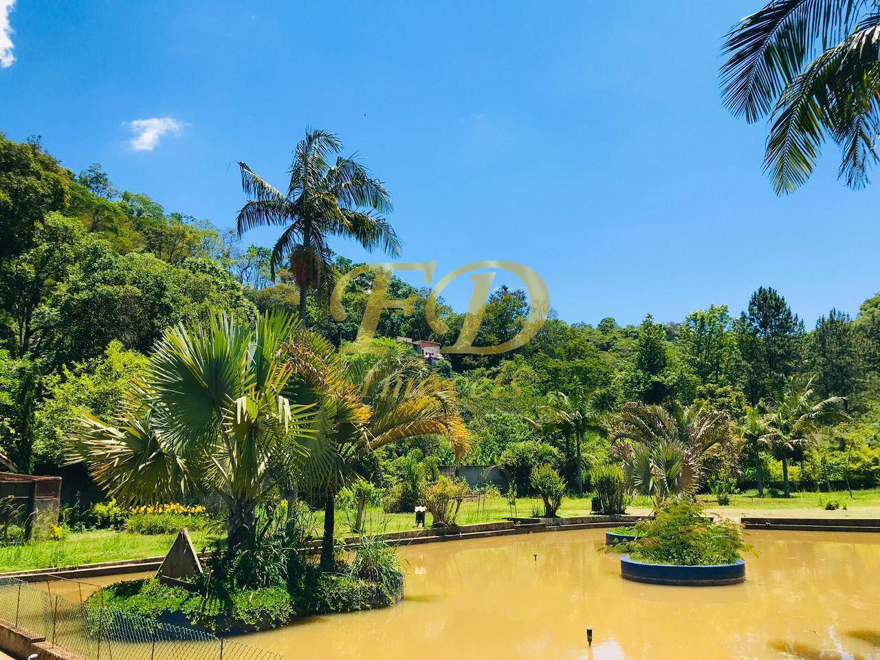 Sítio à venda com 4 quartos, 1500m² - Foto 89