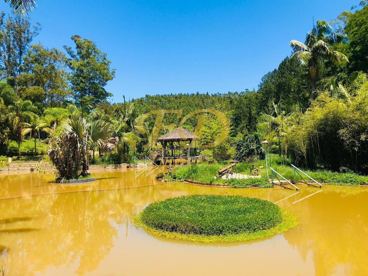 Sítio à venda com 4 quartos, 1500m² - Foto 90