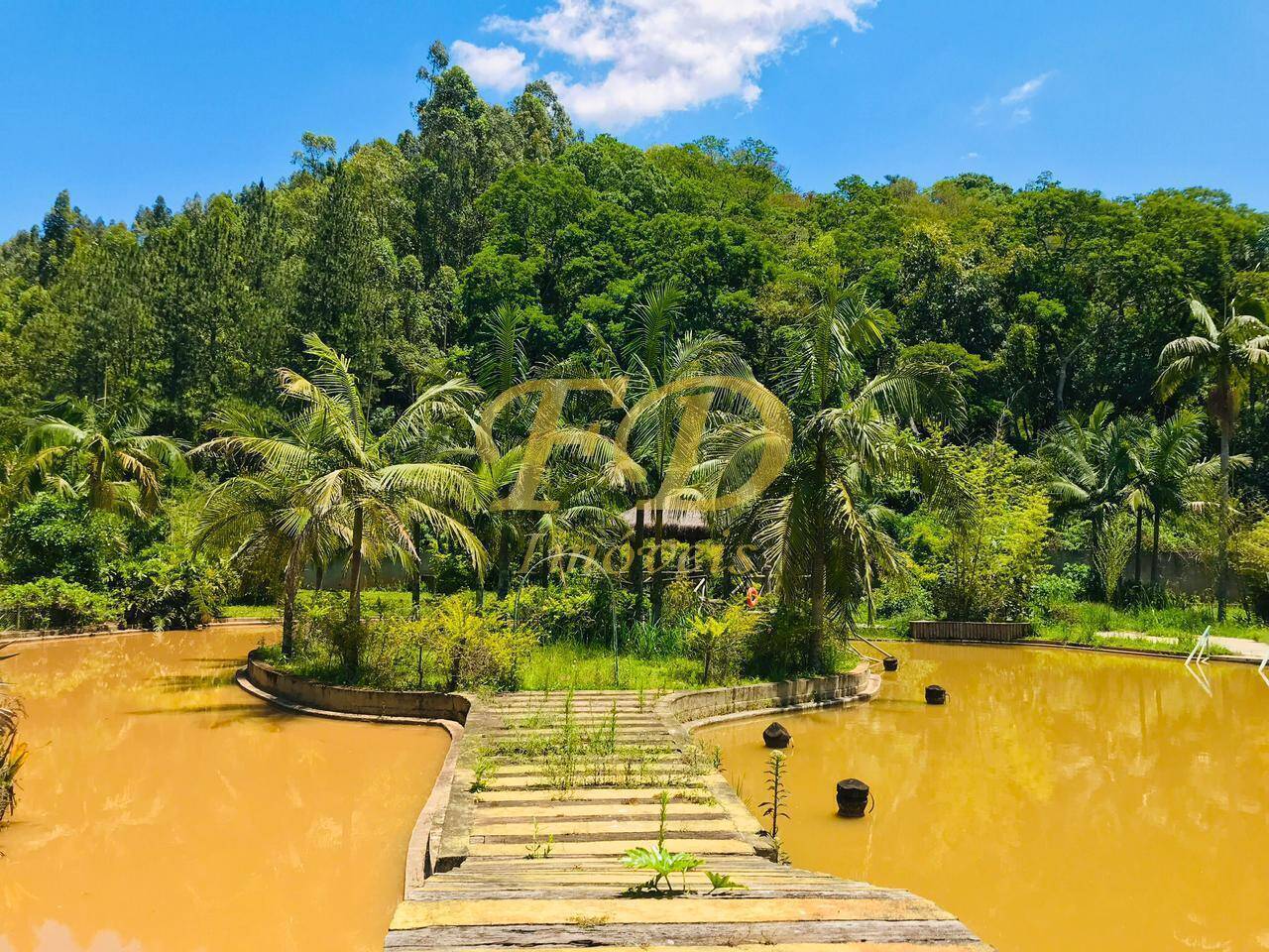 Sítio à venda com 4 quartos, 1500m² - Foto 92
