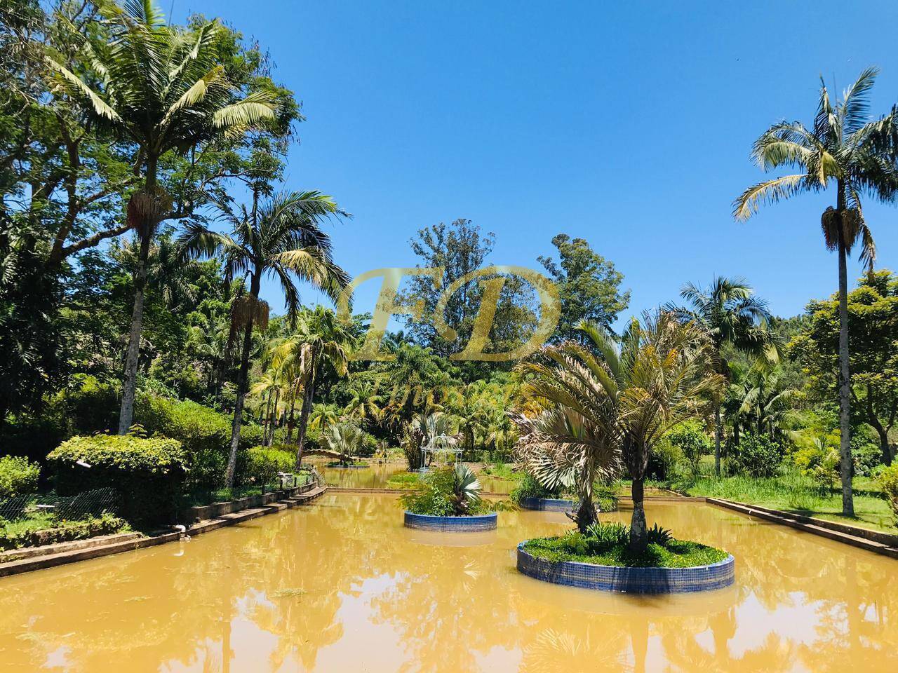 Sítio à venda com 4 quartos, 1500m² - Foto 101