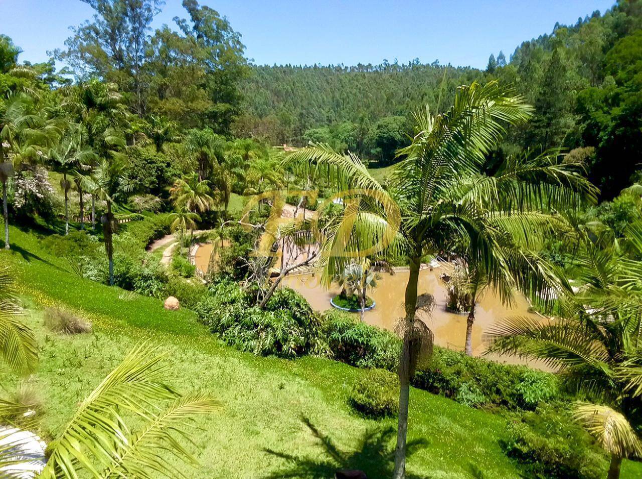Sítio à venda com 4 quartos, 1500m² - Foto 126