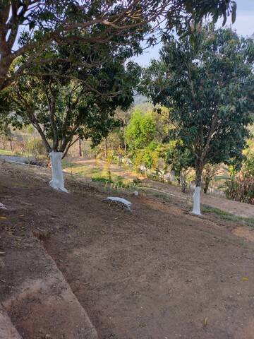 Chácara à venda com 3 quartos, 300m² - Foto 28