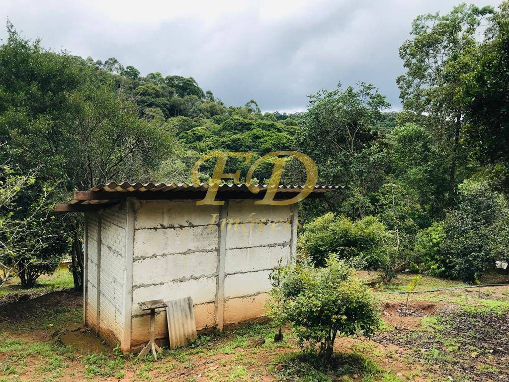 Sítio à venda com 4 quartos, 470m² - Foto 68