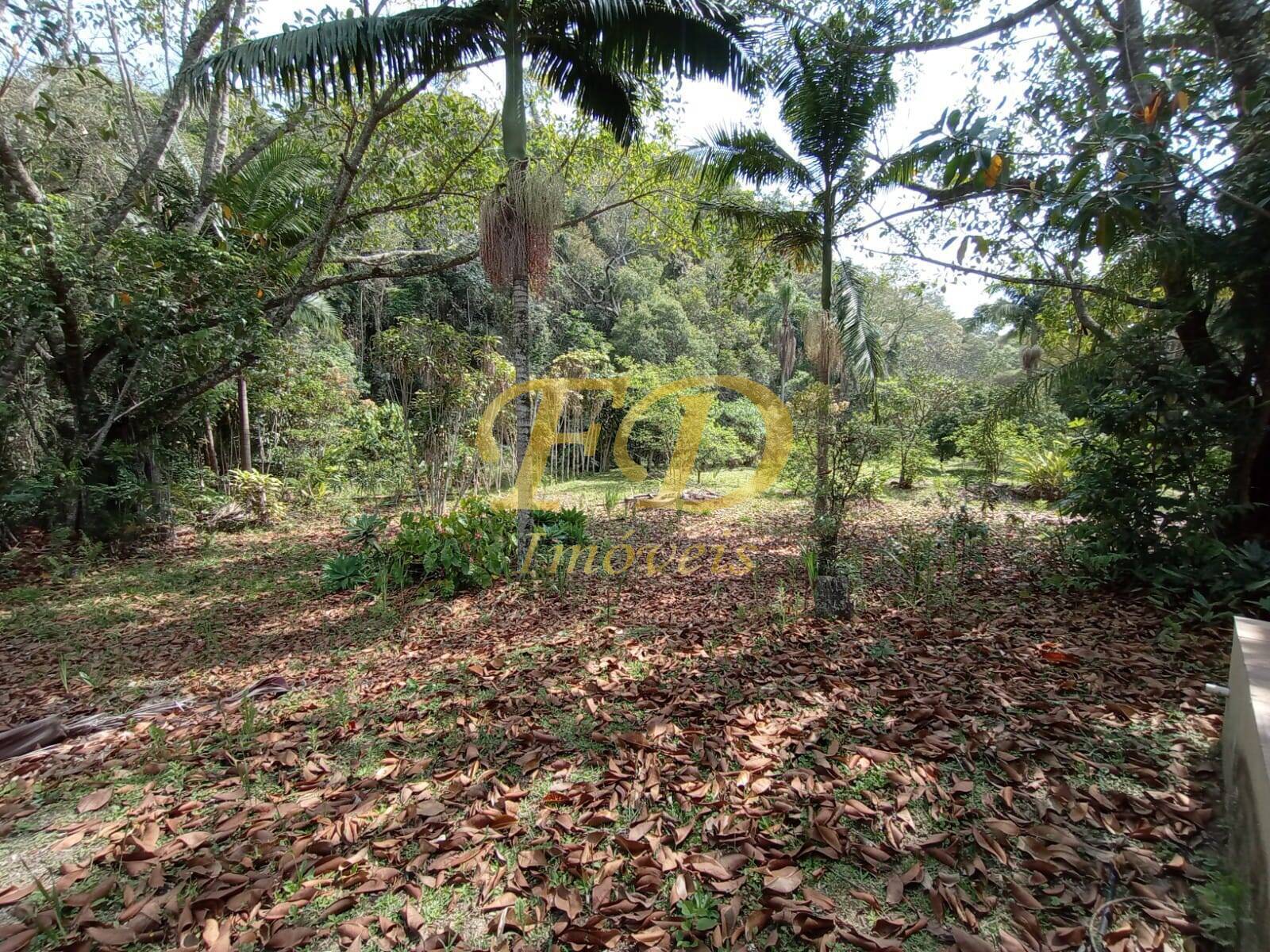 Chácara à venda com 2 quartos, 1000m² - Foto 11