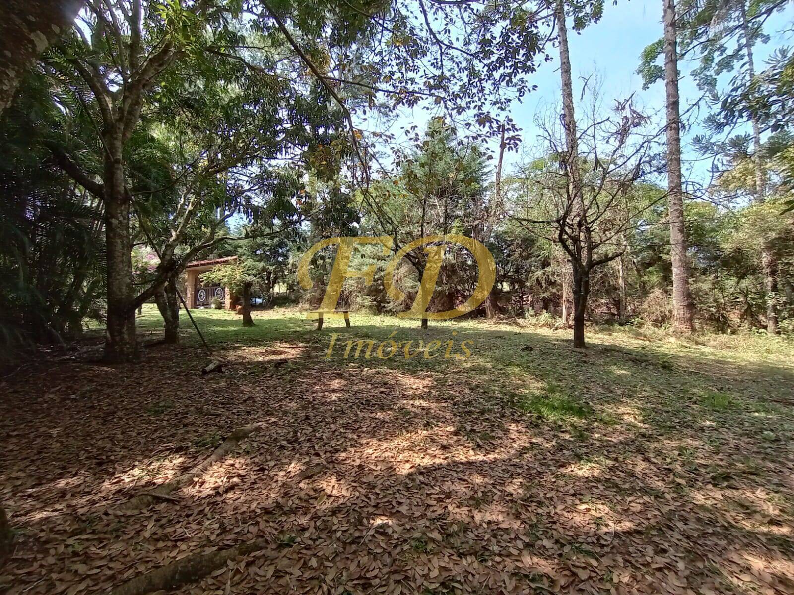 Chácara à venda com 2 quartos, 1000m² - Foto 12