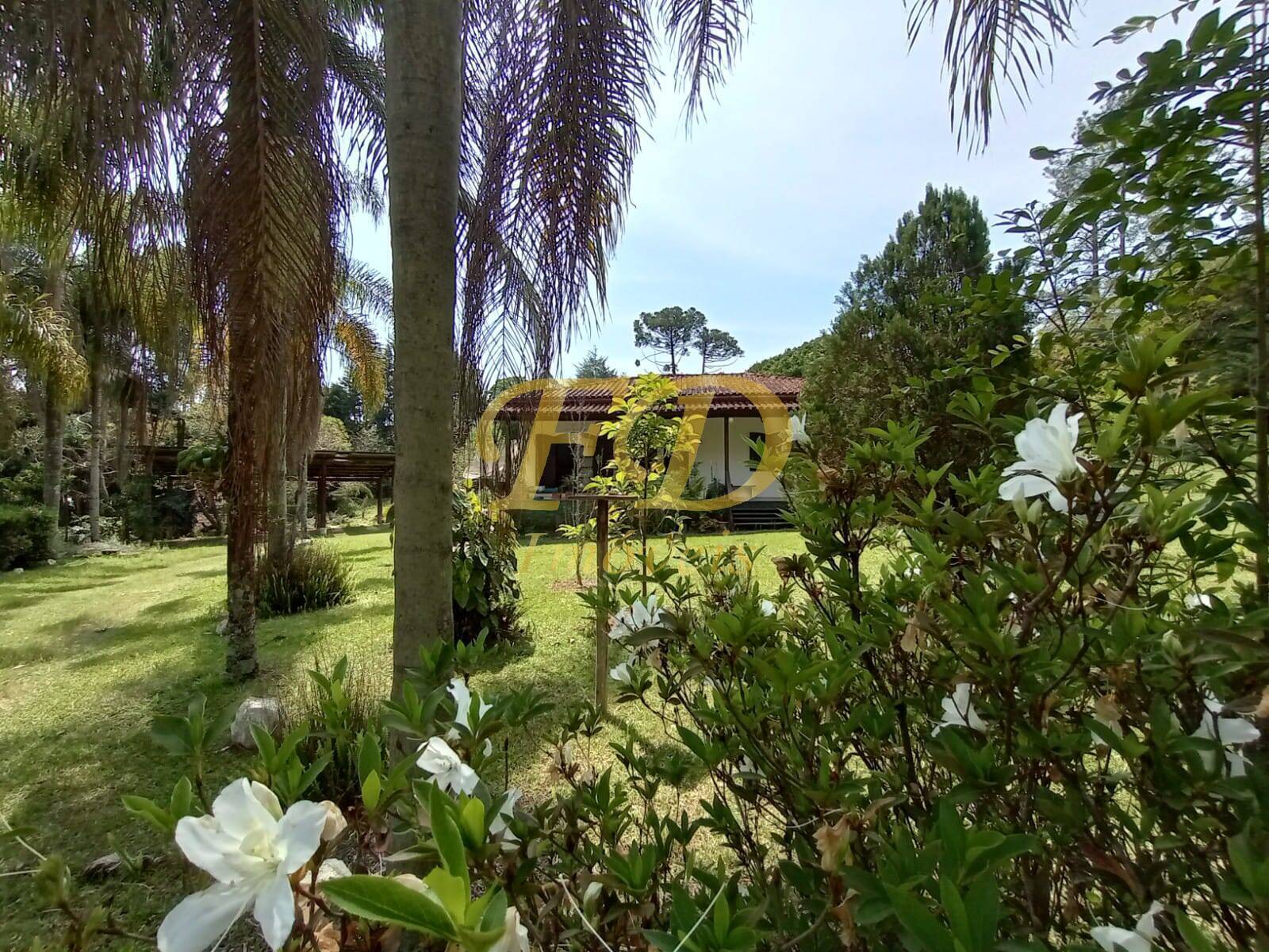 Chácara à venda com 2 quartos, 1000m² - Foto 15