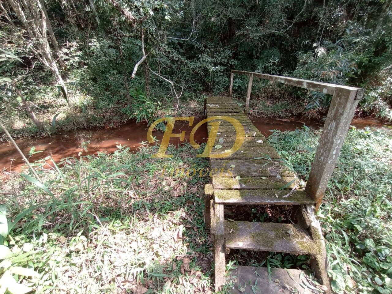 Chácara à venda com 2 quartos, 1000m² - Foto 20