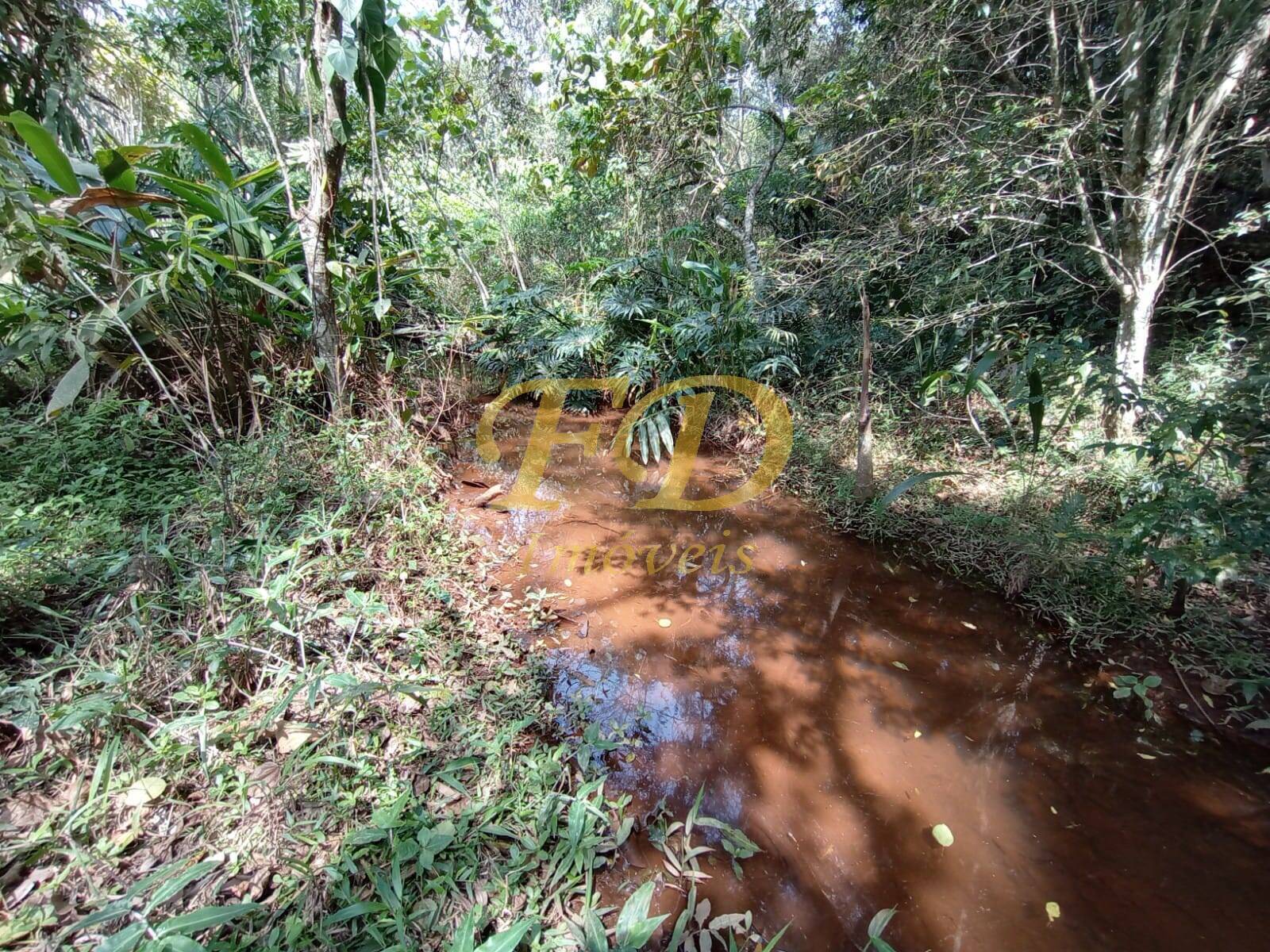Chácara à venda com 2 quartos, 1000m² - Foto 21