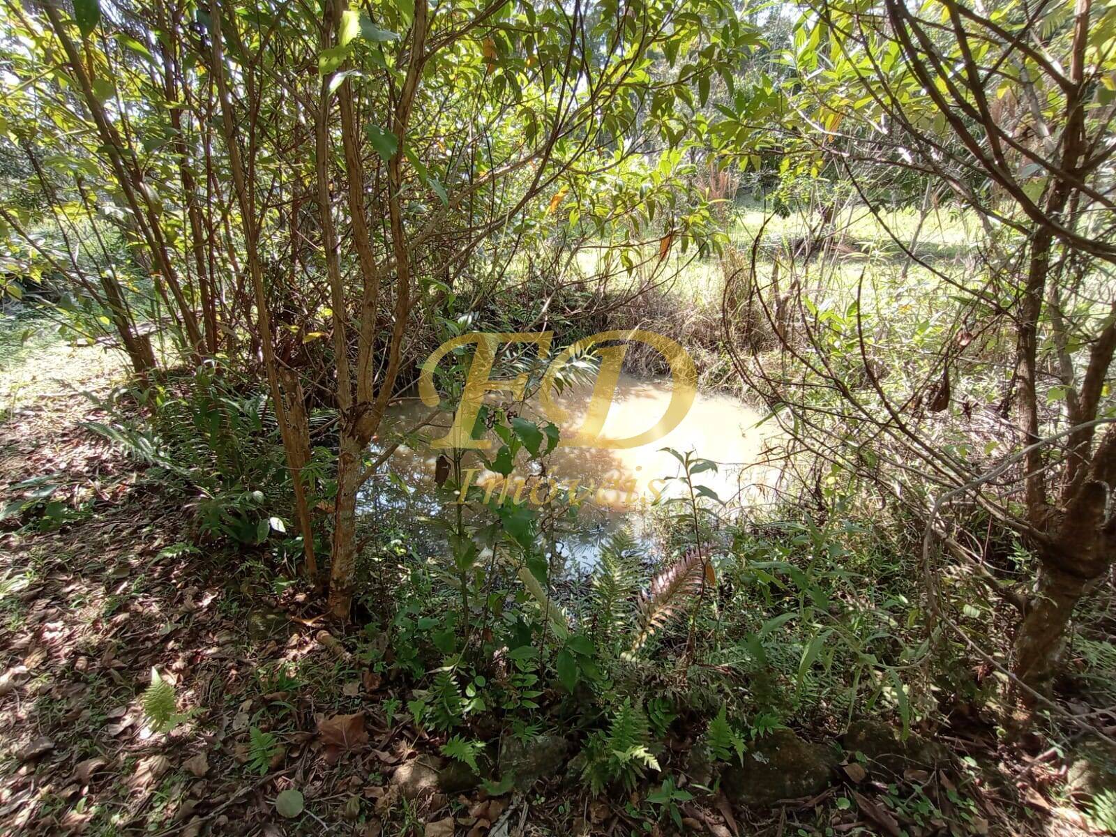 Chácara à venda com 2 quartos, 1000m² - Foto 22