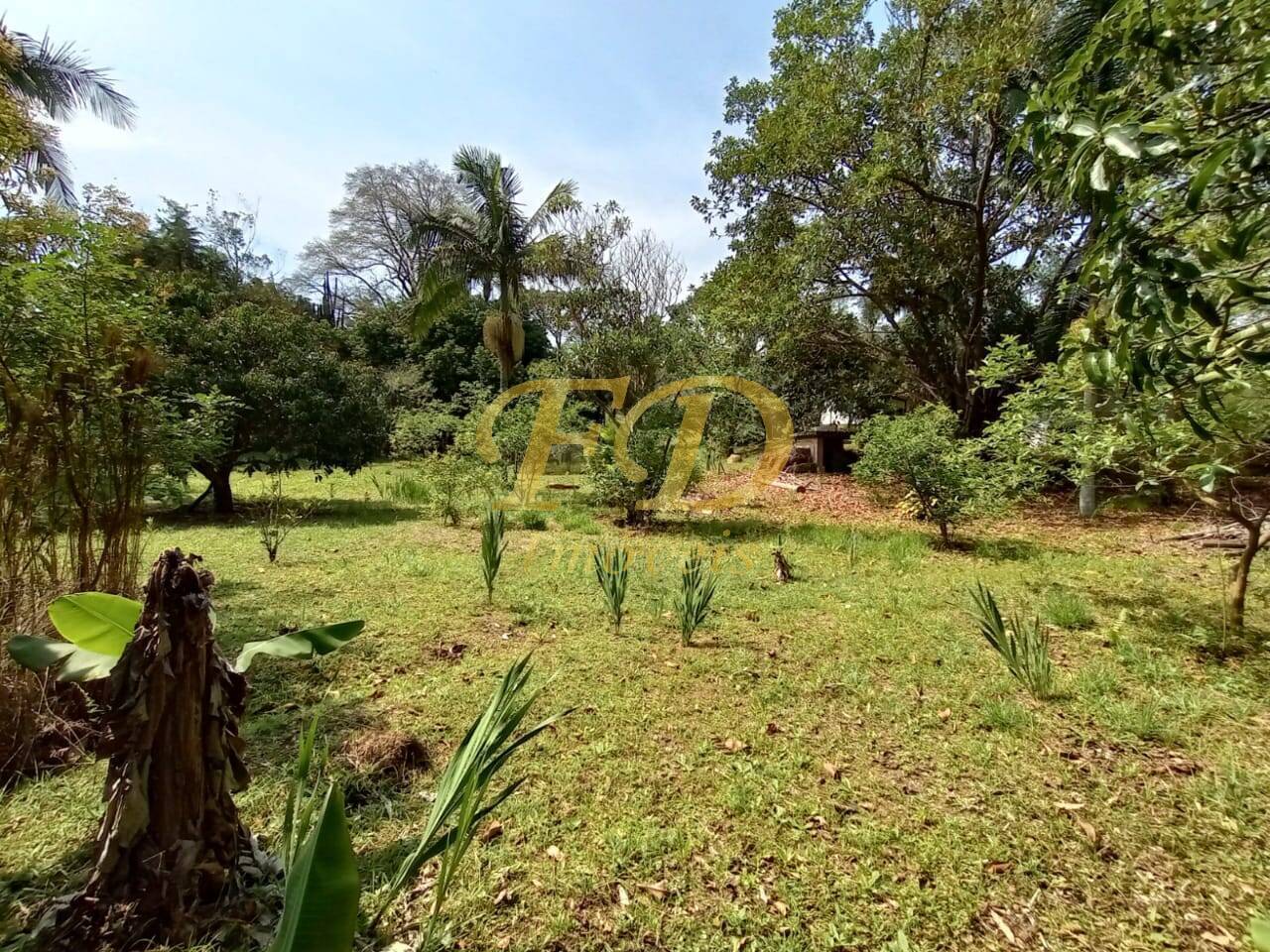 Chácara à venda com 2 quartos, 1000m² - Foto 23