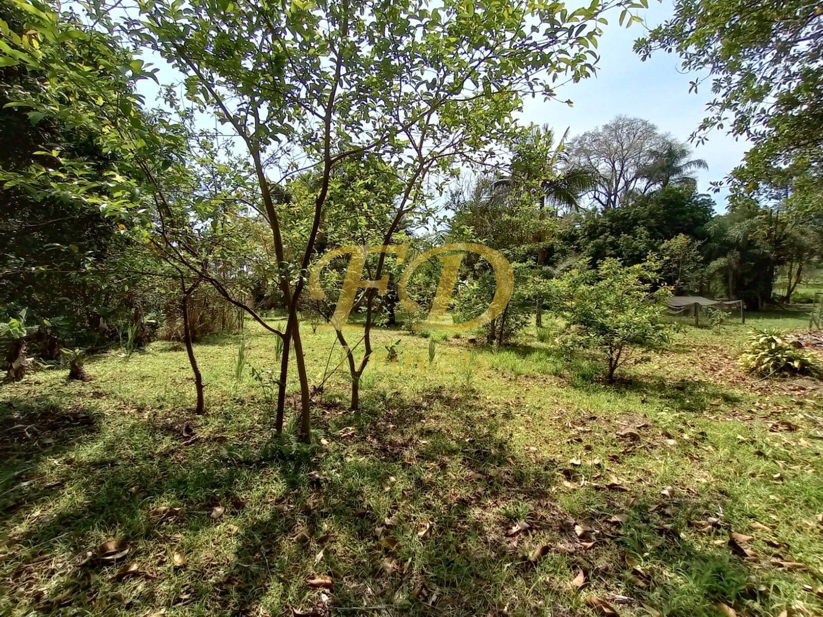 Chácara à venda com 2 quartos, 1000m² - Foto 24