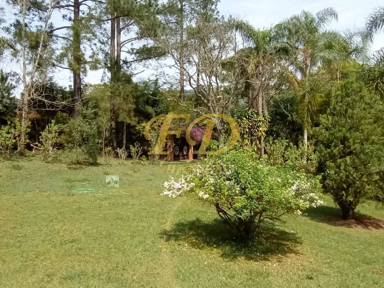 Chácara à venda com 2 quartos, 1000m² - Foto 45