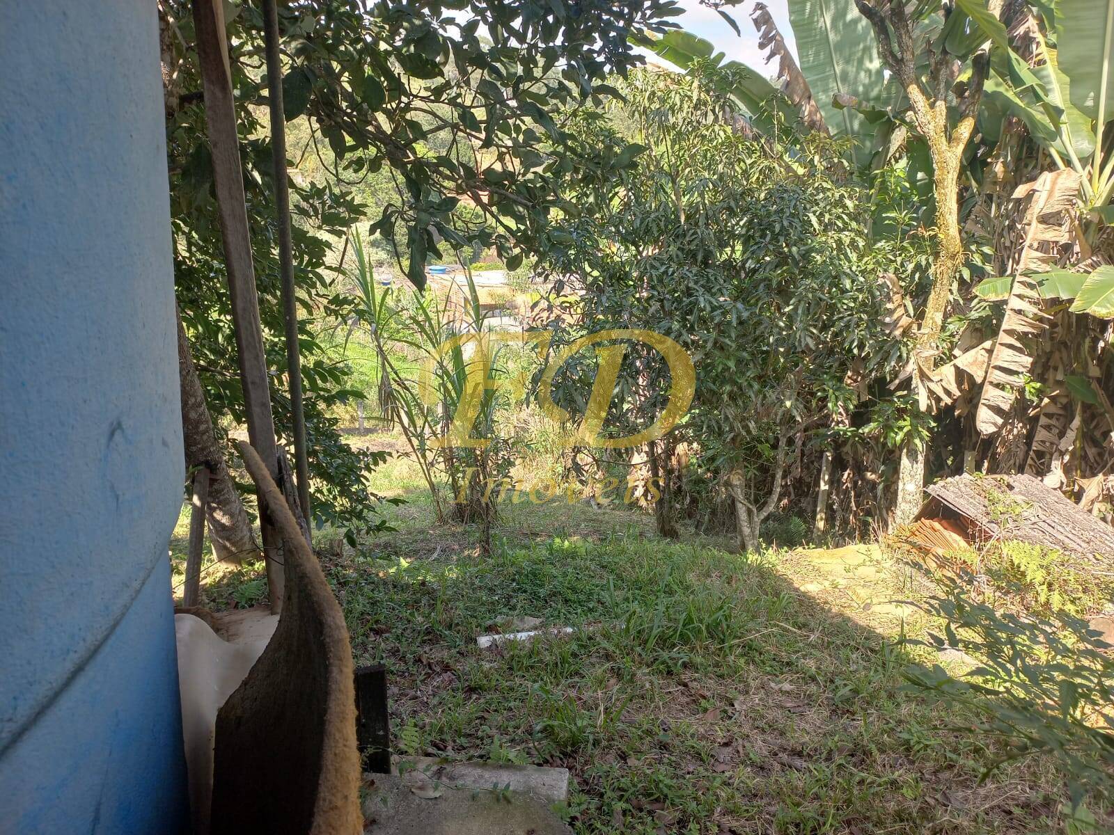 Chácara à venda com 3 quartos, 140m² - Foto 28
