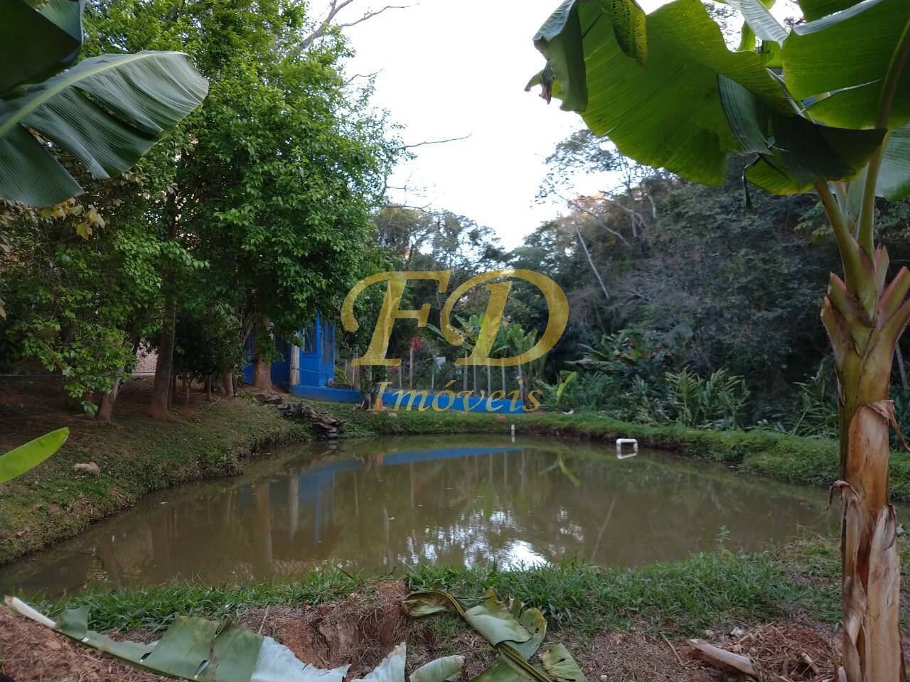 Sítio, 7 quartos, 70 hectares - Foto 5