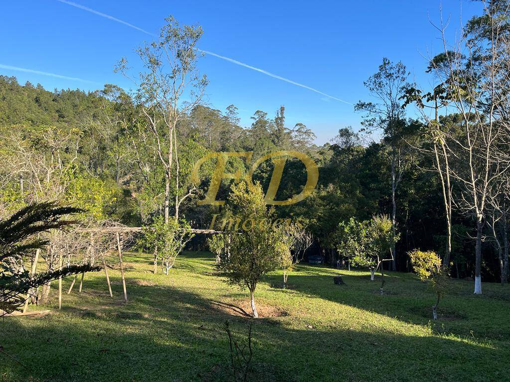 Sítio, 6 quartos, 10 hectares - Foto 3