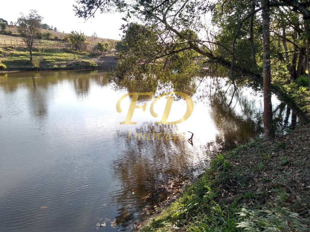 Sítio, 6 quartos, 4 hectares - Foto 4