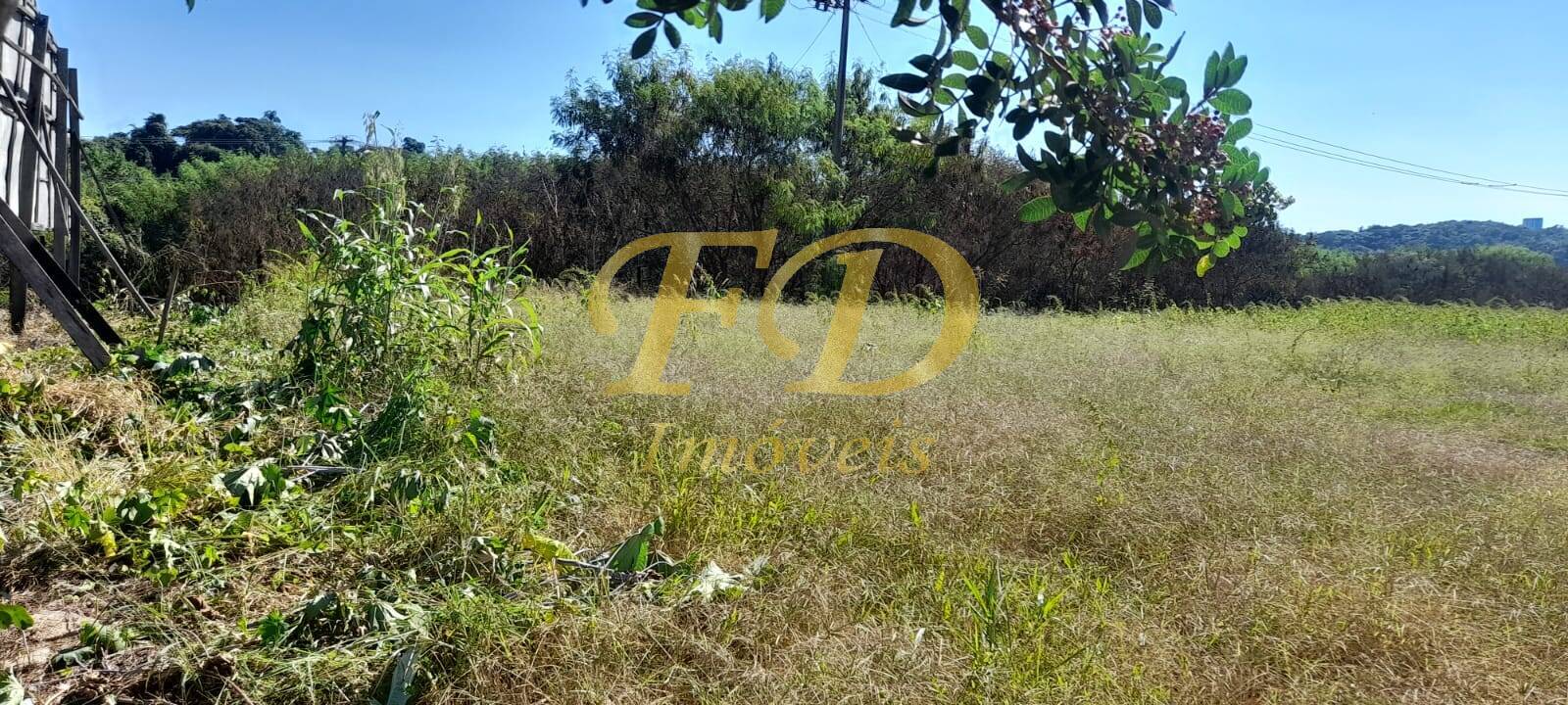 Prédio Inteiro - Foto 3