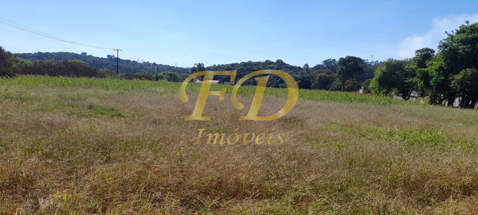 Prédio Inteiro - Foto 2