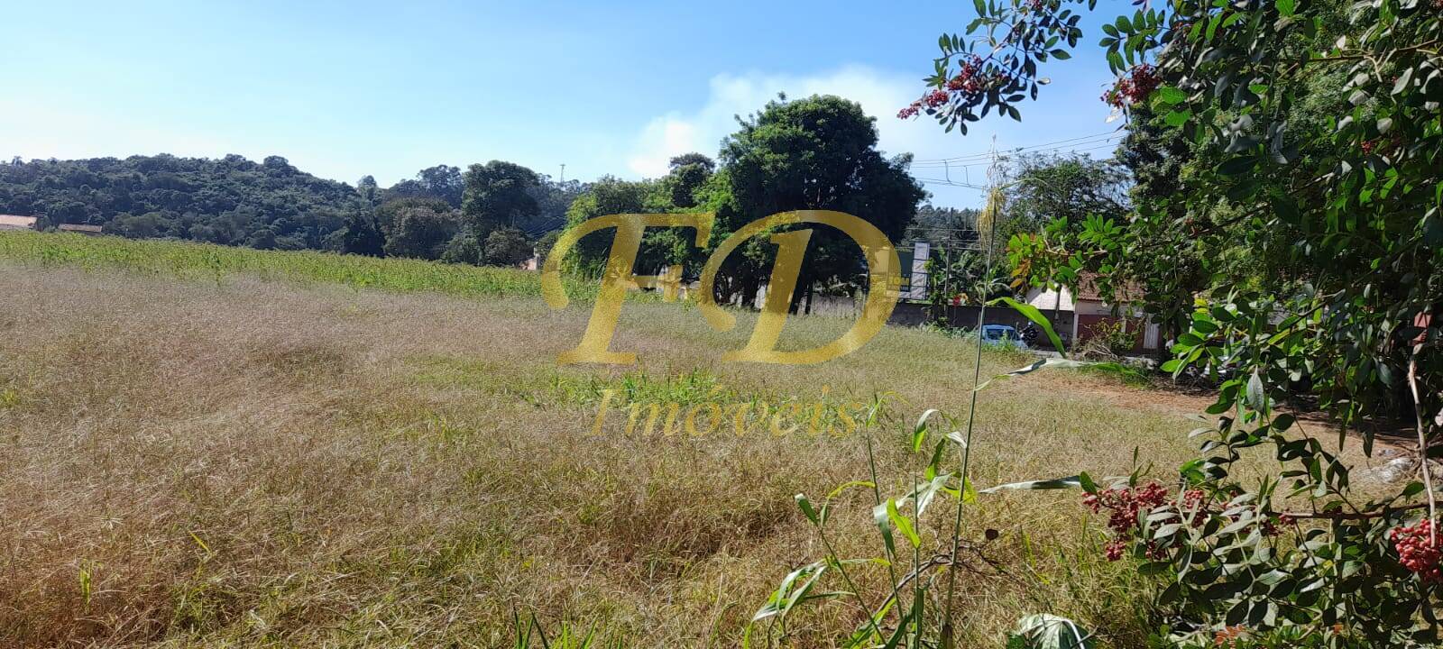 Prédio Inteiro - Foto 4